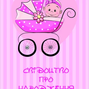 Обкладинки для «Свідоцтв про нарождения та шлюб» 13,5*19,5см