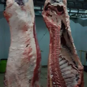 Мясо говядина Баранина Курица