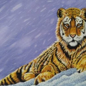 Набор для вышивания, Гладкий мир, Снежный тигр - набор