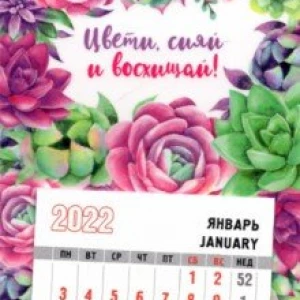 Календарь-магнит 2022 с отрывным календарным блоком Цвети, сияй и восхищай, суккуленты