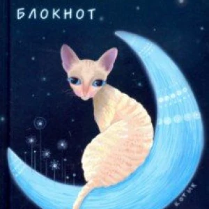 Бизнес-блокнот «Лунный кот» (80 листов, А6, клетка) (80ББ6В1_23809)