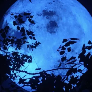 Надувные сценические декорации