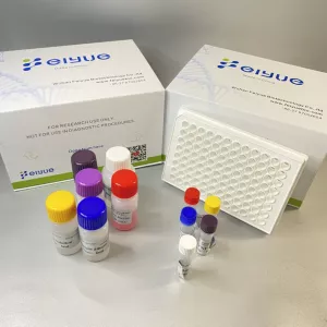 Bovine HSP90(Heat shock protein 90) ELISA Kit