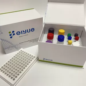 Human ELANE(Neutrophil elastase) ELISA Kit 