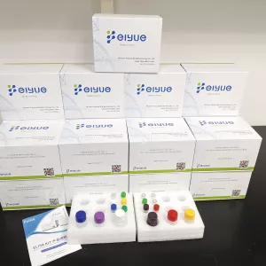 Human PADI4(Peptidyl Arginine Deiminase Type IV) ELISA Kit