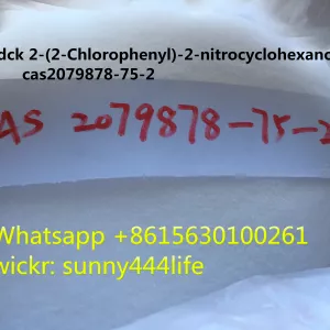 2-(2-Chlorophenyl)-2-nitrocyclohexanone CAS2079878-75-2