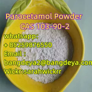 Paracetamol Powder CAS 103-90-2 high purity Factory outlet whatsapp: + 85259876550 Wickr:sarahwickrr