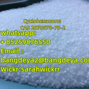 Cyclohexanone CAS 2079878-75-2 Best Quality with good price