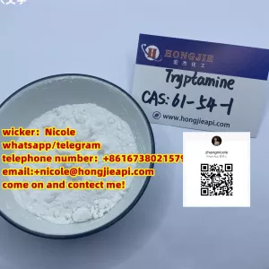 Chemical raw material direct deal cas61-54-1 tryptamine 99%
