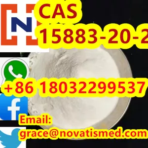 CAS 15883-20-2 /N-(2,6-Dimethylphenl)-2-Piperidine Carboxamide