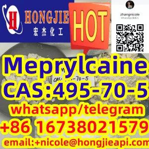 Low price Meprylcaine CAS:495-70-5