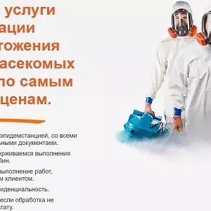 Услуги по истреблению грызунов и насекомых для жителей и компаний из Санкт-Петербурга