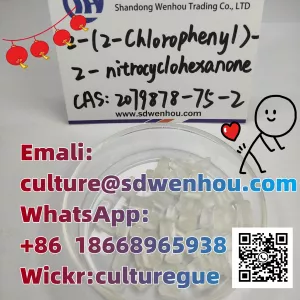 2-(2-Chlorophenyl)-2-nitrocyclohexanone cas:2079878-75-2