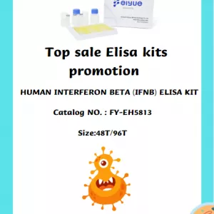 Human Interferon Beta (IFNb) ELISA kit