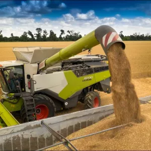 Услуги по уборке урожая комбайнами Одесса,дисковка,посев,аренда комбайна,трал,комбайн нанять.