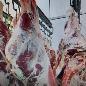 Продается мясной бизнес / поставки мяса также осуществляем.