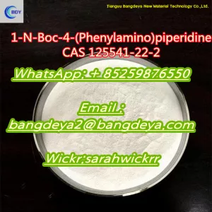 1-Boc-4-(Phenylamino)piperidine cas 125541-22-2 China manufacturer