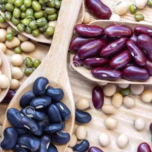 Beans from Ukraine. Bandolya, White round, Kidni, Mavka and others