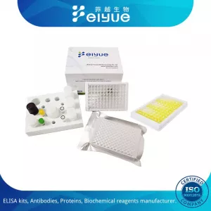 Cell Counting Kit-8 CCK-8 Assay Kit