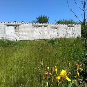 Продам земельну ділянку в селі Садове