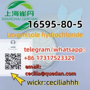 CAS:16595-80-5Levamisole hydrochloride +86 17317523329