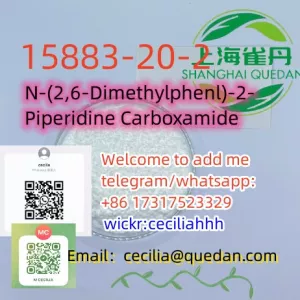 High quality CAS:15883-20-2 N-(2,6-Dimethylphenl)-2-Piperidine Carboxamide+8617317523329
