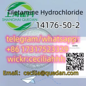Safety deliveryCAS: 14176-50-2Tiletamine Hydrochloride+86 17317523329