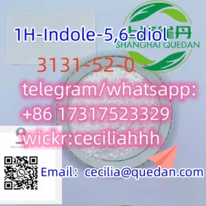 Fast deliveryCAS:3131-52-0 1H-Indole-5,6-dio+86 17317523329