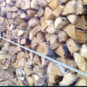 Лесхоз Полтавской области реализует колотые дрова разных пород от 5м3