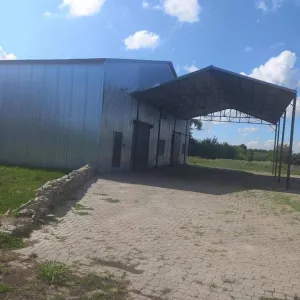 Здам склад під зерно. Терміново