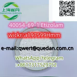 China manufacturer 40054-69-1 Etizolam +8617317529752