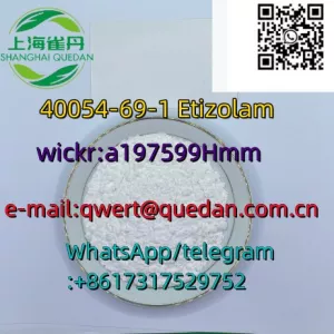 Fast delivery 40054-69-1 Etizolam +8617317529752