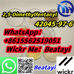 42045-97-6 spot supply 2,5-Dimethylfentanyl