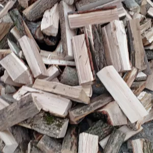 Дрова колотые дубовые