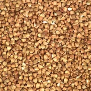 Реалізуємо гречиху оптом від 5 тонн