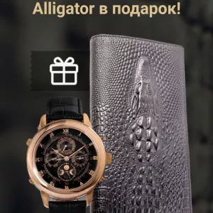 Часы Patek Philippe Sky Moon Tourbillon портмоне Alligator