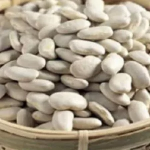 Закуповуємо білу квасолю. Купуємо квасолю на переробку