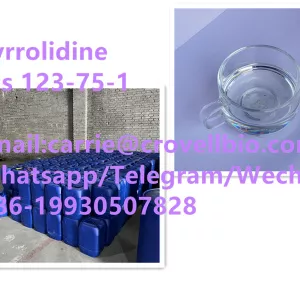 Sample free for Pyrrolidine cas 123-75-1 from china manufacturer