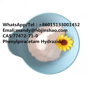 CAS 77472-71-0 Phenylpiracetam Hydrazide 99% White particle