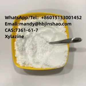 Pharmaceutical Grade CAS 7361-61-7 Xylazine with competitive price 99% powder 
