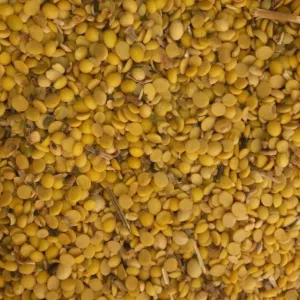 Купуємо половинки сої