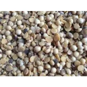 Куплю половинки сої, відходи кукурудзи