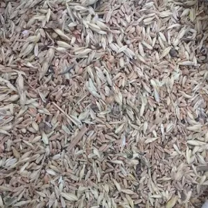 Закупка зерновідходів, некондиції. Розрахунок на вагах