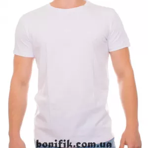 Чоловіча легка футболка ТМ «BONO» (арт. Ф 950102)