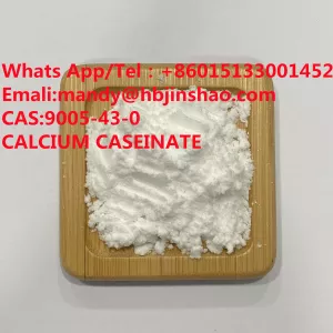 High Purity CALCIUM CASEINATE with Safe Delivery 9005-43-0