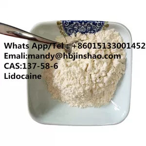 Factory direct sales High quality LinoLidoca 99% white powder 137-58-6 99.9%