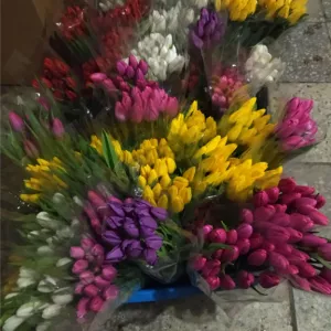 Тюльпаны оптом - премиум. Документы.