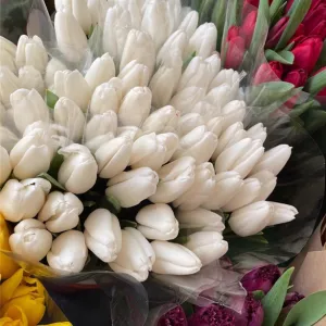 Тюльпаны белые опт. Документы.