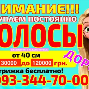Купим волосы дорого (Европейская цена в Одессе) . Дорого продать волосы Одесса . Где продать волосы в Одессе ? Мы купим ваши волосы ДОРОГО Одесса , ежедневно