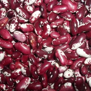 Сортова квасоля. Гурт від 5 т